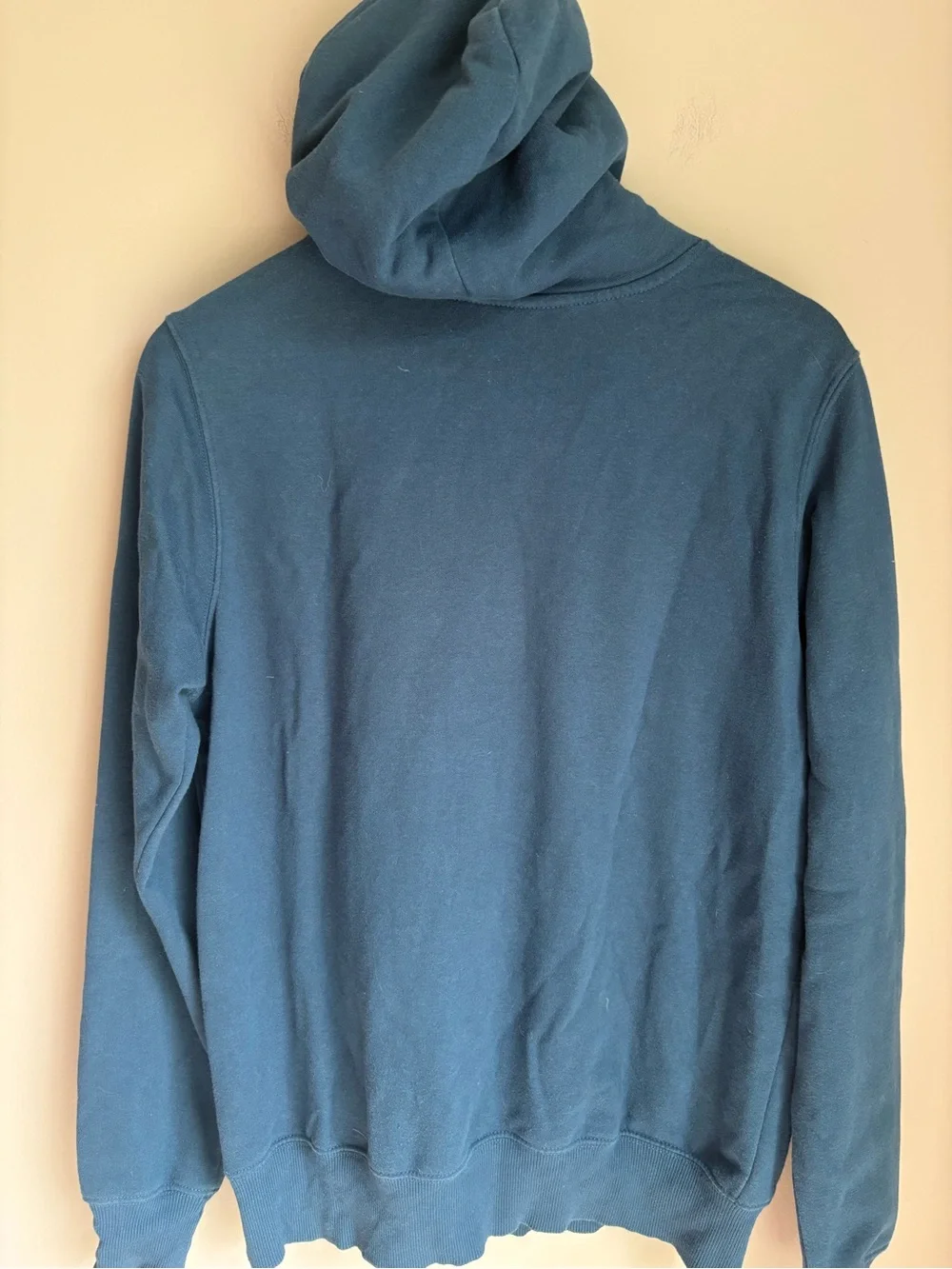 The North Face Men’s Pullover Hoodie Sweatshirt Blue Size Small
